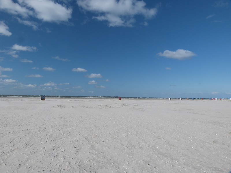 Amrum