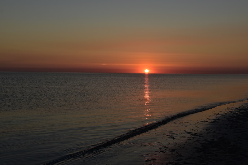 Amrum