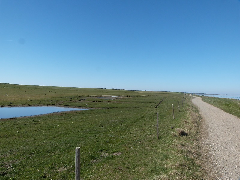 Amrum